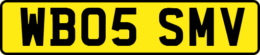 WB05SMV