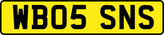 WB05SNS