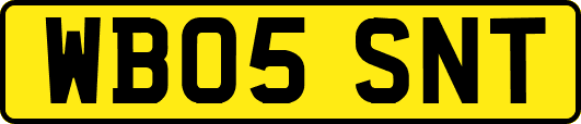 WB05SNT