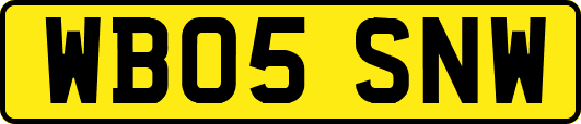 WB05SNW