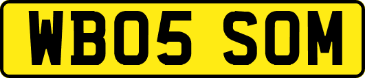 WB05SOM