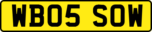 WB05SOW