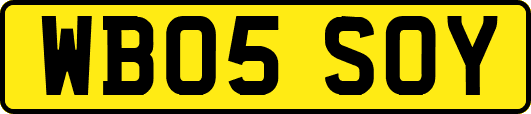 WB05SOY