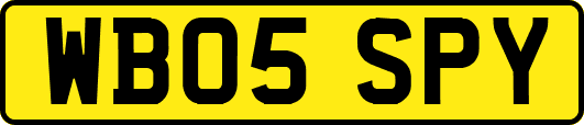 WB05SPY