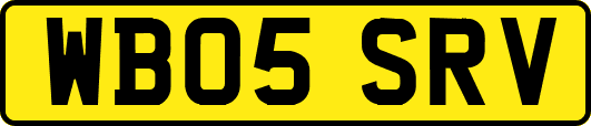 WB05SRV