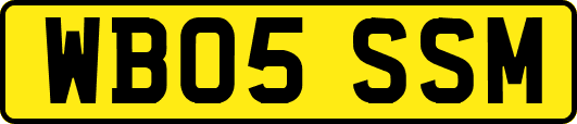 WB05SSM