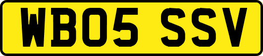 WB05SSV