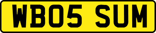 WB05SUM