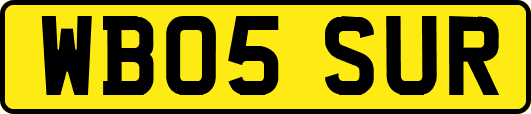 WB05SUR