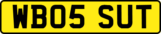 WB05SUT
