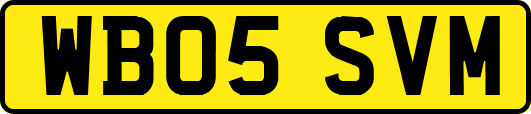 WB05SVM