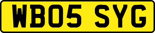 WB05SYG
