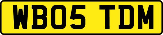 WB05TDM