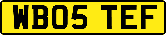 WB05TEF