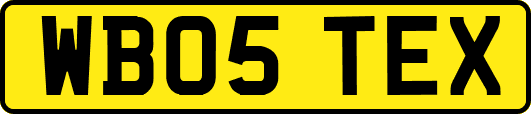 WB05TEX