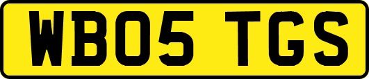 WB05TGS