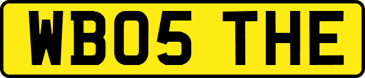 WB05THE