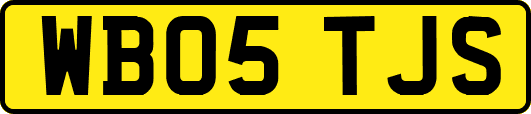 WB05TJS