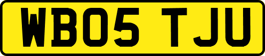 WB05TJU