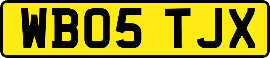 WB05TJX