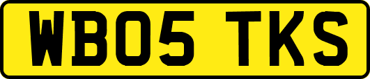 WB05TKS