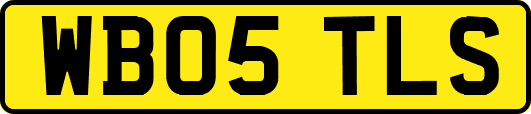 WB05TLS