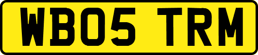 WB05TRM