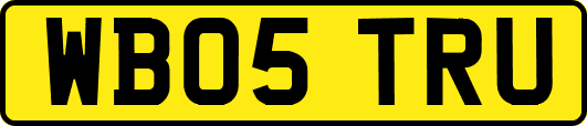 WB05TRU