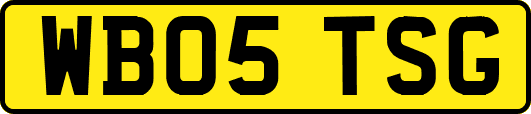 WB05TSG