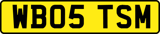 WB05TSM