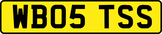 WB05TSS