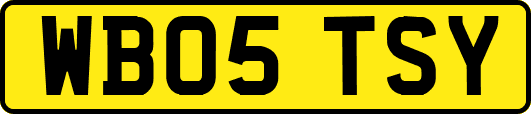 WB05TSY