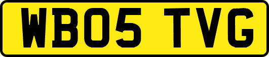 WB05TVG