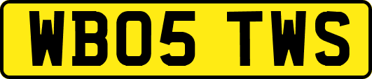 WB05TWS