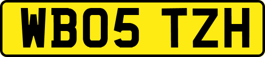 WB05TZH
