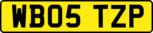WB05TZP