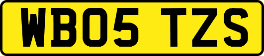 WB05TZS
