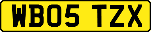 WB05TZX