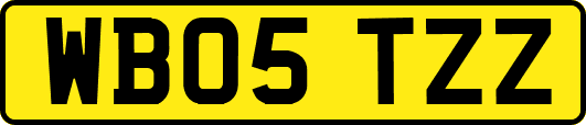 WB05TZZ