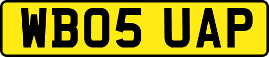 WB05UAP