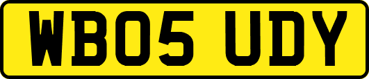 WB05UDY