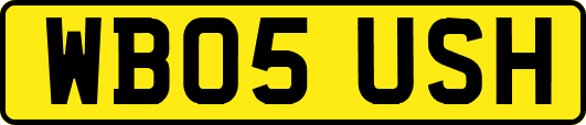 WB05USH