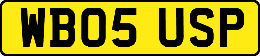 WB05USP