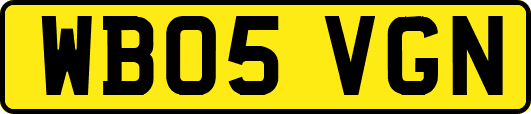 WB05VGN