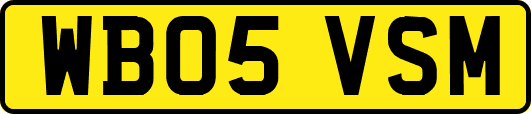 WB05VSM