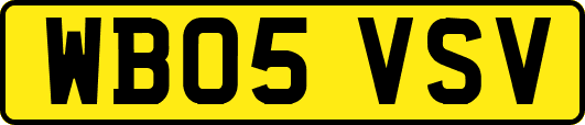 WB05VSV