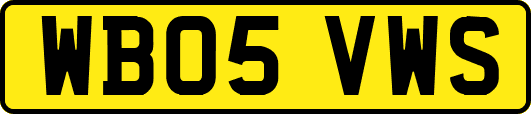WB05VWS
