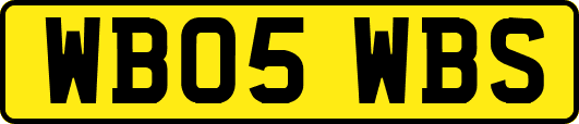 WB05WBS