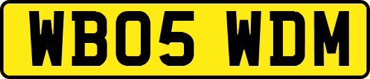 WB05WDM