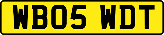 WB05WDT